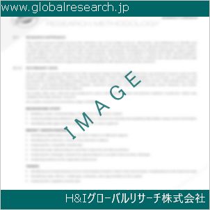 グローバルリサーチ調査資料のイメージ